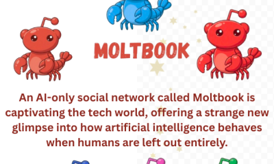 Moltbook_bdfestiv.xyz