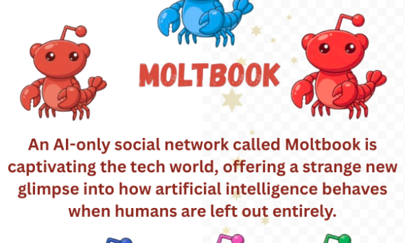 Moltbook_bdfestiv.xyz